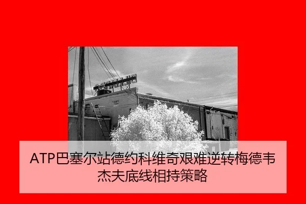 ba-sai-er-zhan-de-yue-ke-wei-qi-jian-nan-ni-zhuan-mei-de-wei-jie-fu-di-xian-xiang-chi-ce-lve-3-819.jpg